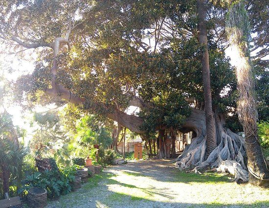 Museo e biblioteca Clarence Bicknell
